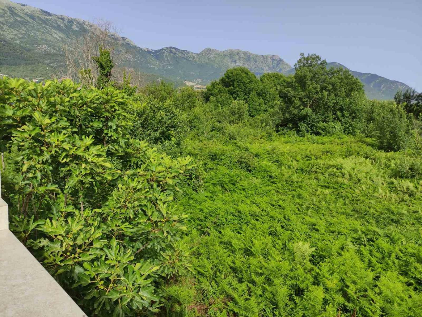 Green Valley Kotor Exterior photo